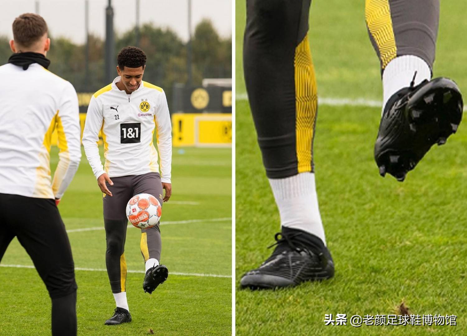 这也为整个 这也为整个