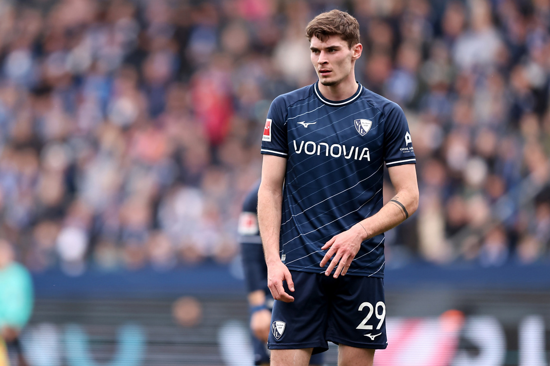 台上的明星 台上的明星